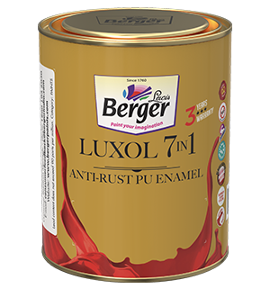 berger luxol xtra price